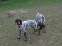 Chłopie czy ty jesteś ślepy?!