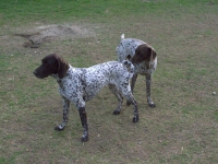 Chłopie czy ty jesteś ślepy?!