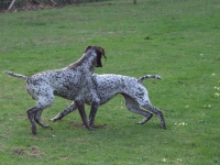 Nie, ale nie chciałem być nachalny