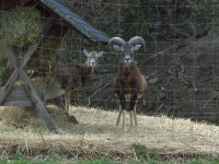 Trochę zdziwione tym co zobaczyły