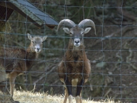 U nas jednak wygląda to trochę inaczej