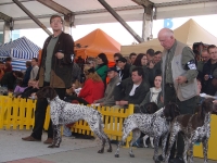 Światowa Wystawa w Bratysławie 2009 r. - na ringu