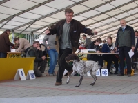 Światowa Wystawa w Bratysławie 2009 r. - na ringu