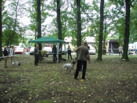 Wystawa w Chorzowie w 2009  - ocenia Wojtek Burski