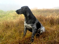 TOR ze Stipek po polowaniu