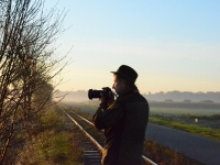 Anatol w akcji