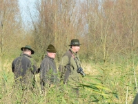 Obserwatorzy - ciekawe co myślą o konkurencji?