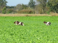 Kolejna para zawodników