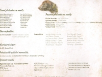 Organizatorzy, sędziowie i sponsorzy memoriału