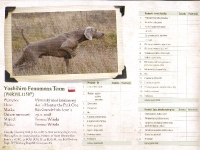 Yoshihiro Fenomena Team w katalogu konkursu