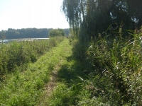 Grobla ze stanowiskami myśliwych