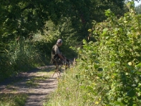 Linia myśliwych na kolejnym stawie
