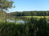 Kolejne widoki ze stanowiska, widać jak różnorodny jest to teren