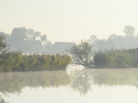 Rzut oka ze stanowiska w różnych kierunkach