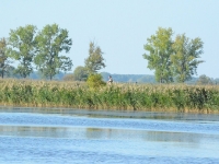 Po przerwie na obiad rozpoczynamy popołudniowe pędzenia - widok na sąsiednią groblę