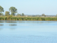 Wyścig trwa