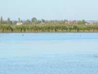 Wyścig trwa