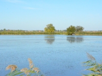 Wyścig trwa