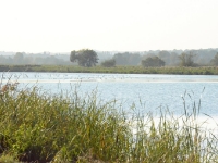 Kolejne obrazy lustra stawu w czasie kiedy koledzy podzieleni na grupy zajmowali ukradkiem stanowiska