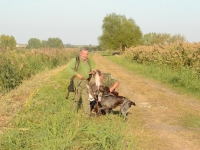 Radość całego zespołu z odniesionego sukcesu