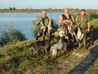 Trofea z tego stawu - strzelcy i psy. Król Tomek w środku.
