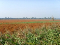 Widok z pierwszego stanowiska na grobli pomiędzy rozległymi stawami