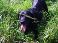 Zmęczona ale dumna i szczęśliwa z powodu udanej pracy