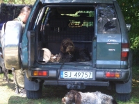 Koledzy Buby też relaks