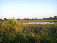 Przeloty - widok ze stanowiska na grobli