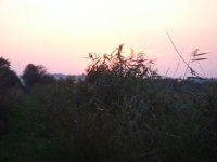 Końcówka tego pięknego dnia i udanego polowania