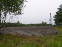 Świeżo uprawione poletko łowieckie w środku lasu