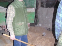 Ładujemy do worków mieszankę kukurydzy i pszenicy, Michał nadzoruje