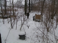 Kolejne zdjęcia pułapki, jak się wkrótce okazało była i druga!