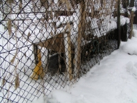 A to druga konstrukcja bliżej płotu, widać duże doświadczenie twórców