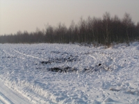 Zimowe buchtowisko dla dzików