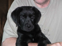 Słodka mała Buba na moich rękach.