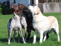 Tutaj pełna koncentracja przed zadaniem.