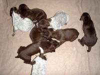 Miot Frygi - 18-ta doba po porodzie