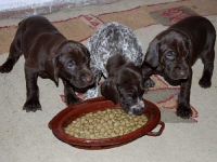 Miot Frygi - 4-ty tydzień po porodzie