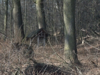 Po drodze wśród drzew paśnik dla saren