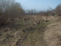 Droga wzdłuż północnej strony stawu