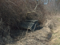 Od strony łąki ciekawy posyp dla bażantów