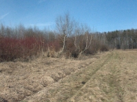 Widok wzdłuż wschodniej grobl