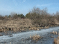 A to widok z tej grobli na wschodnią gałąź stawu. Na wodzie jeszcze lód.