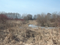 Południowa przewiązka, od strony rzeki