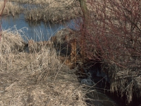 Odbudowana po powodziowych zniszczeniach zastawka