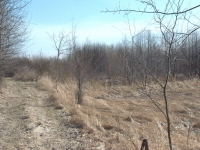 Rzut oka na posyp od zachodu