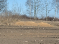 Kolejny przyjaciel bażanta. Ileż to pracy trzeba włożyć w wykopanie takiej nory!