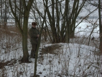 Marek na oknem, jagdterierka pod ziemią