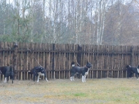 Ekipa wygląda bojowo